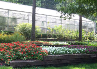 flowers and greenhouse