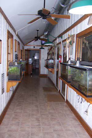 interior of greenhouse