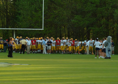 players beside field
